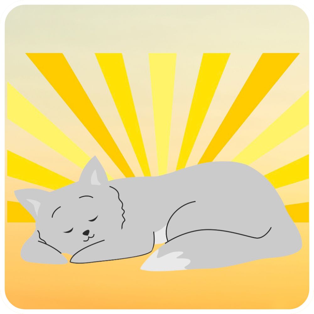Cat Sleeping in Sun cute cartoon cat sleeping under rays of sun