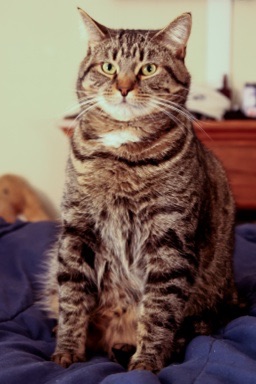 Casey