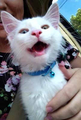 Casper