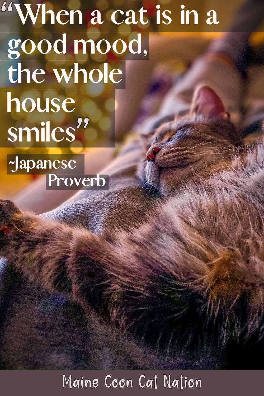 cute sleeping cat with Japanese proverb saying when a cat is in a good mood, the whole house smiles.