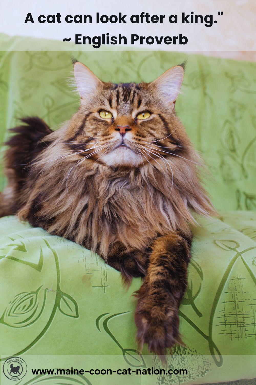 a cat can look after a king - quote