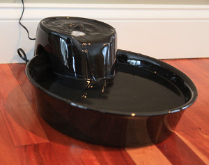 cat water fountain