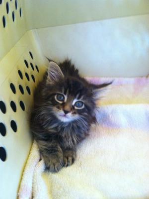 Charlie