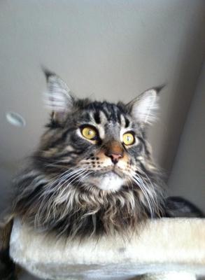 Charlie