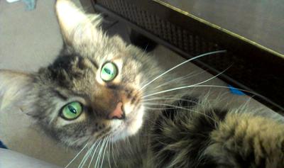 Charlie