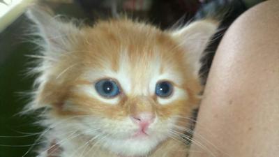 Charlie