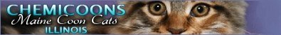 chemicoons cattery banner