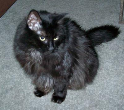 Chloe
