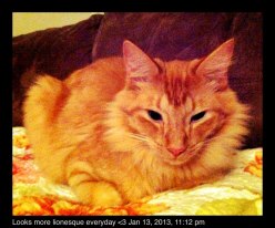 Cleo