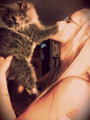 Coon Cat