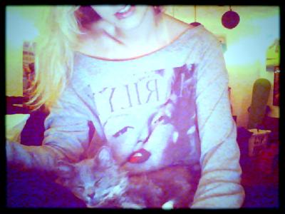 Coon Cat