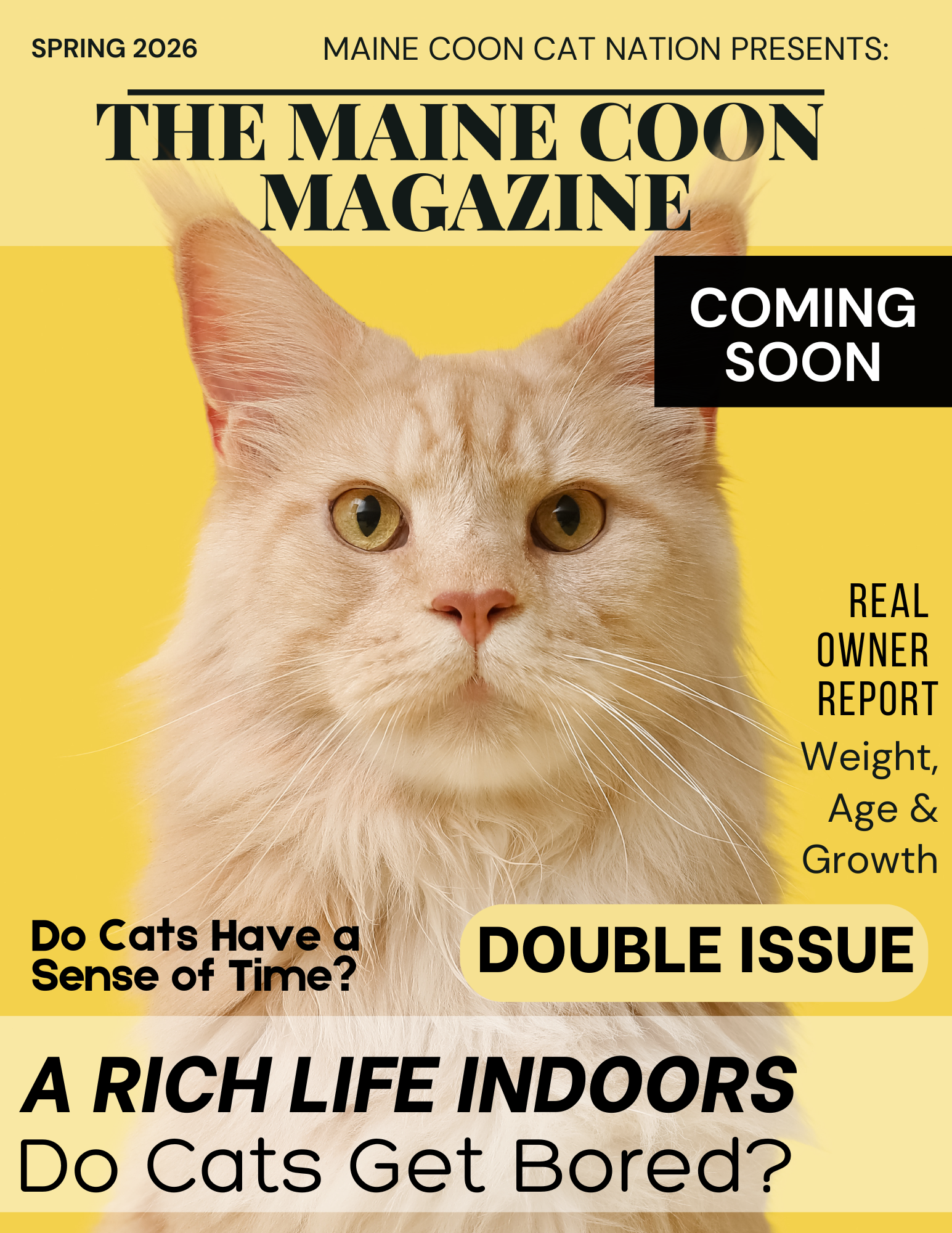 spring maine coon magazine is coming soon.