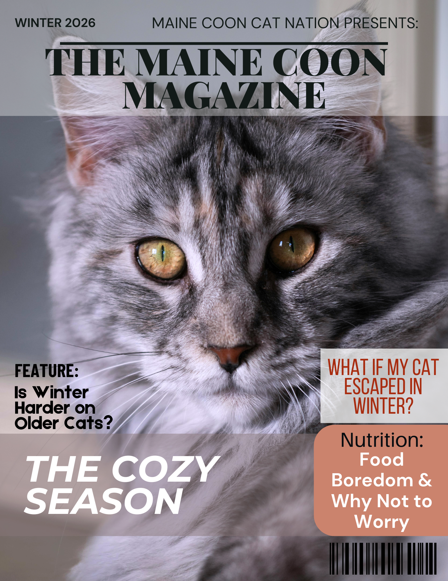 maine coon magazine cover.