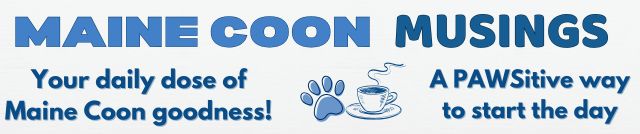 get maine coon musings daily digest email.