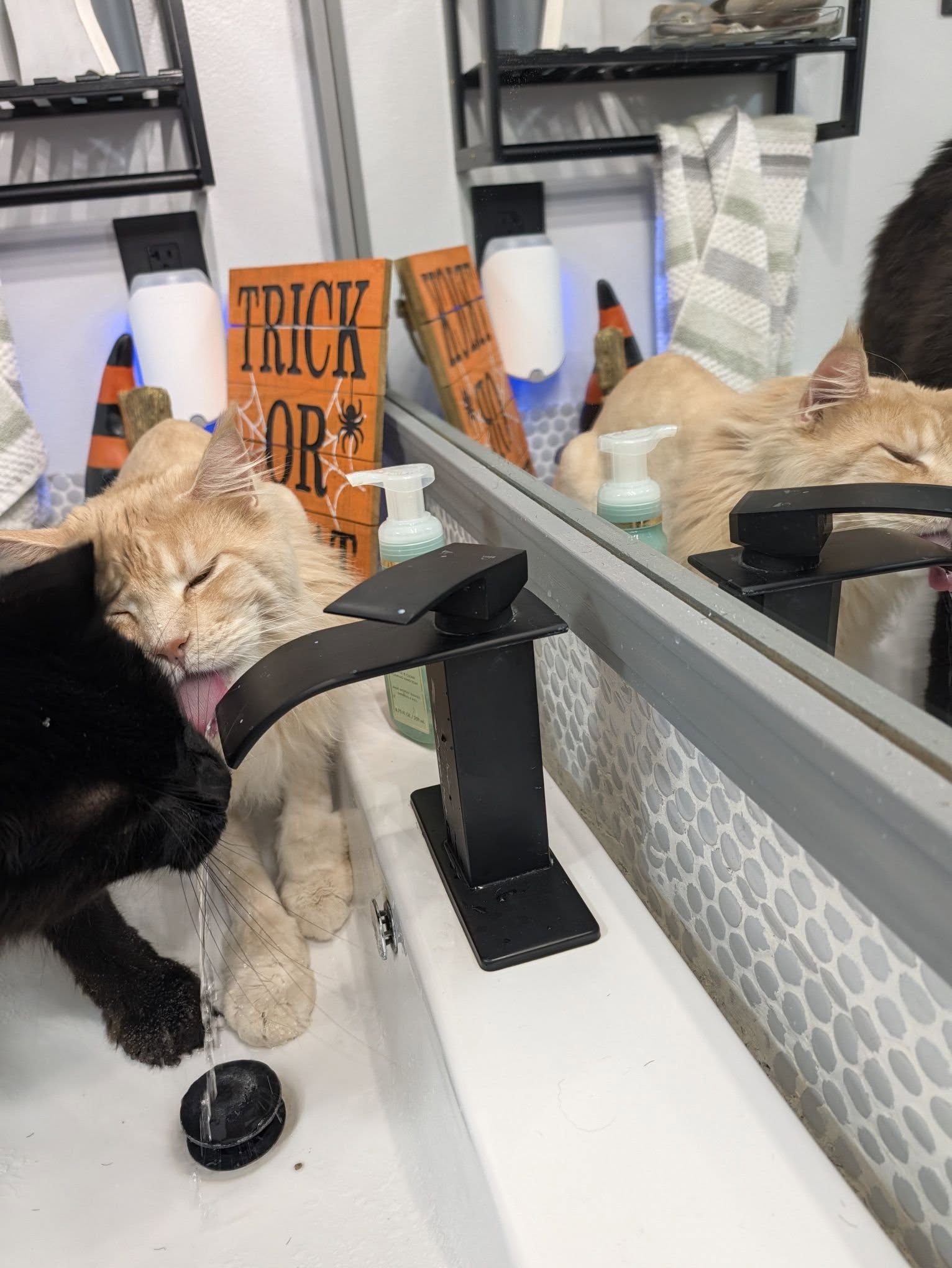 Two Maine Coon cats drinking together from a bathroom faucet.