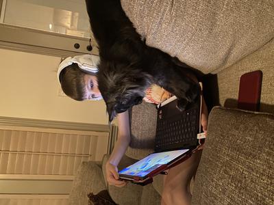 black maine coon cat with a child on a couch