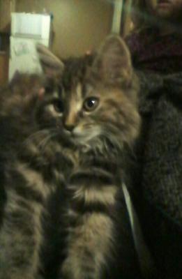 Dorothy
