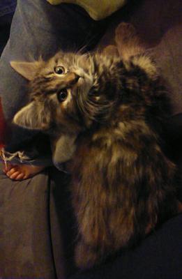 Dorothy