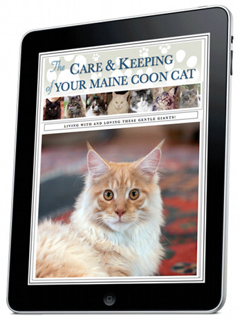 maine coon ebook displaying on ipad