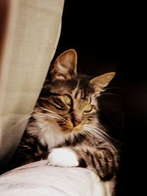 Eleanor