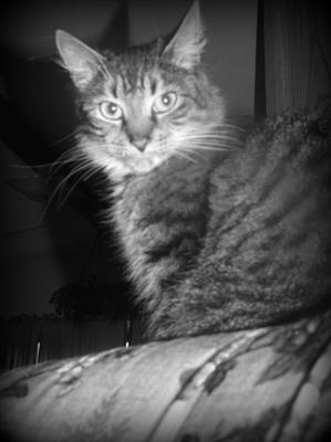 Eleanor