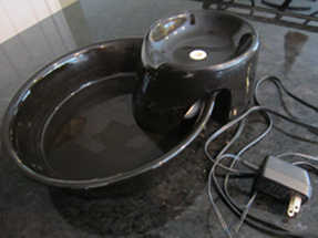 Empty Cat Water Fountain empty cat water fountain