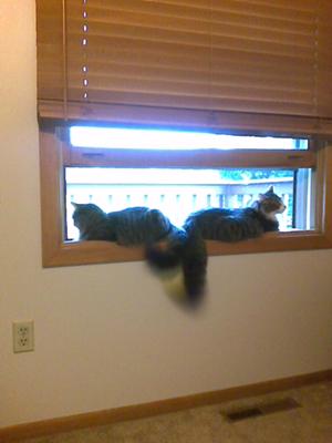 Eric and Chloe in the window