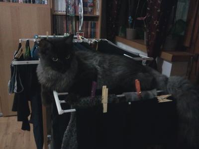 Faust