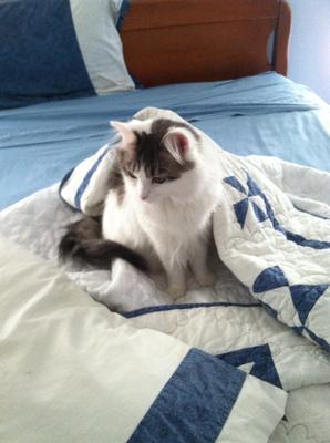 Fiona