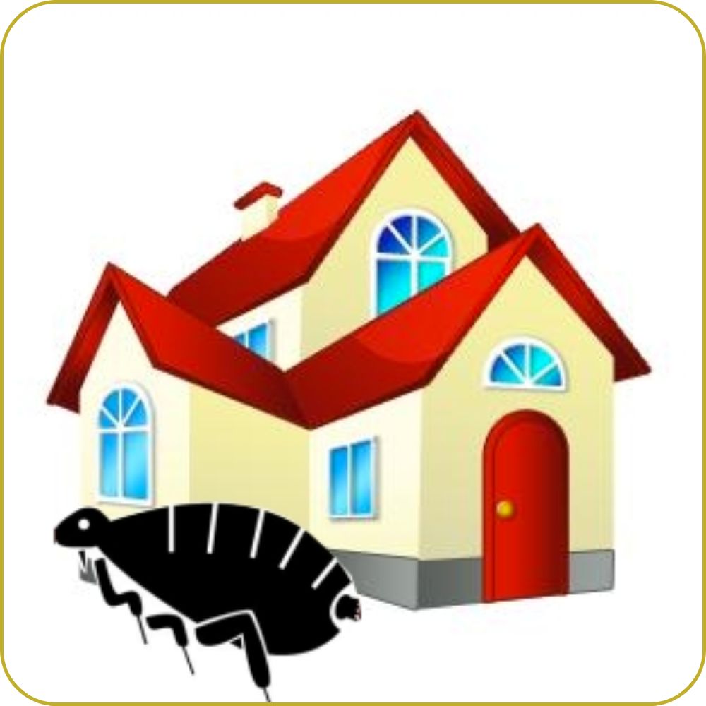 Fleas in House graphic of a flea in front of a cartoon house