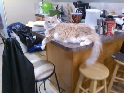 Gabriel