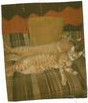 Garfield and Snicklefritz