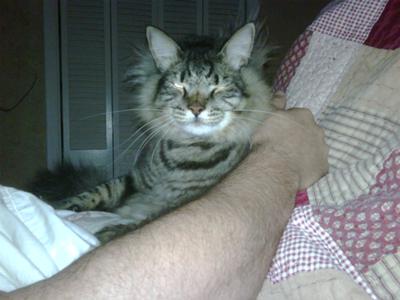 gary