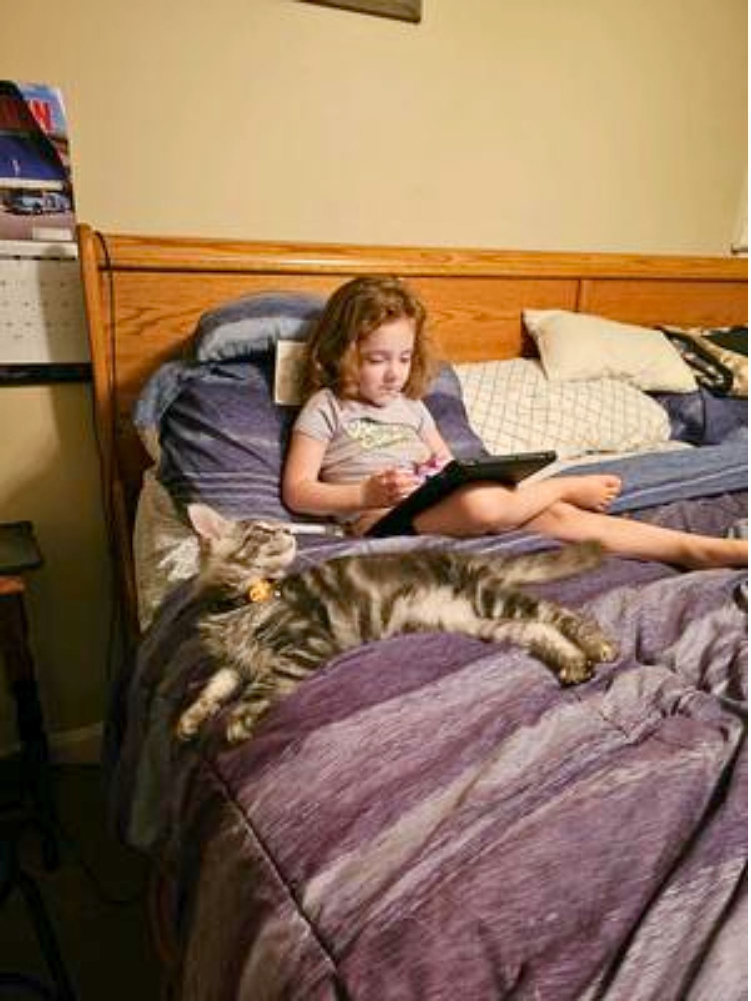 Casper little girl reading in bed with maine coon kitten sprawled out next to her.