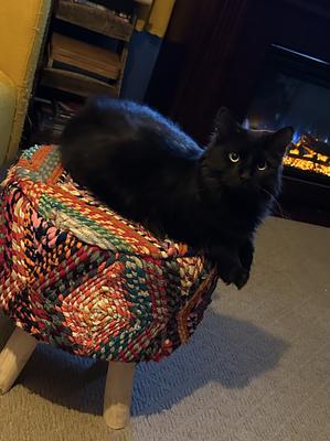 pure black cat on a crocheted ottoman