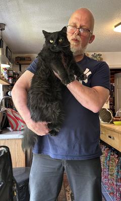 pure black cat in a man's arms