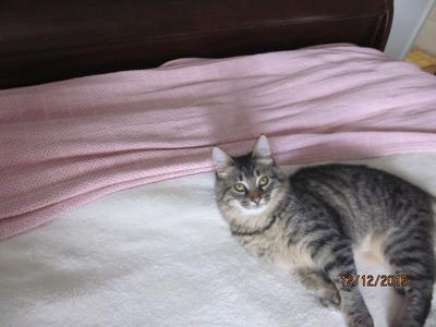 Gretchen