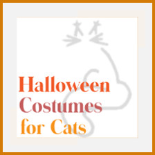 Halloween Costumes For Cats