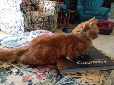 Hamish