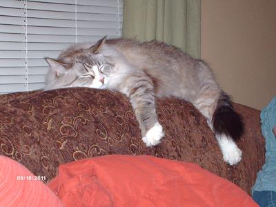 Harriet