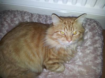 My beautiful boy :)