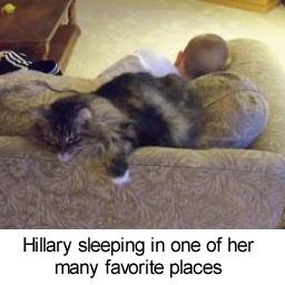 hillary sleeping