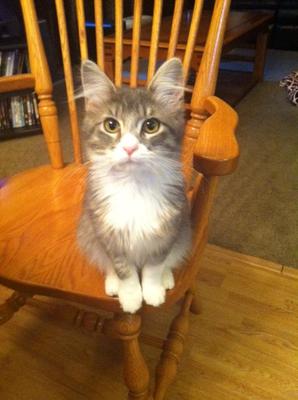 Holly Belle