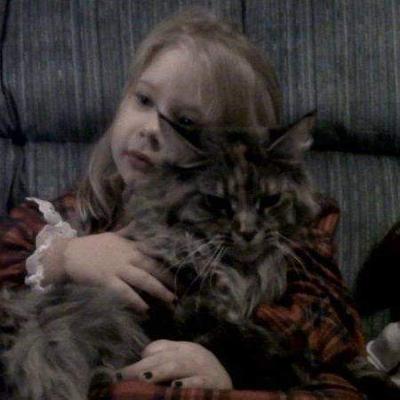 little girl holding brown maine coon cat.