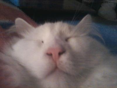 Horatio