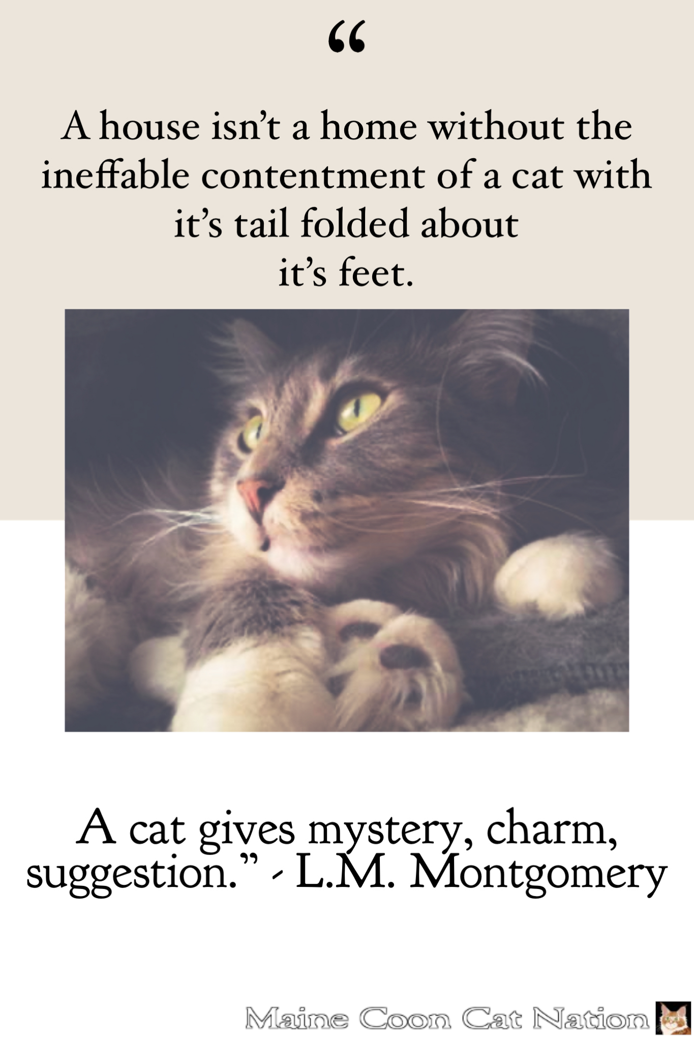 a house isn't a home without a cat, famous quote with cat image