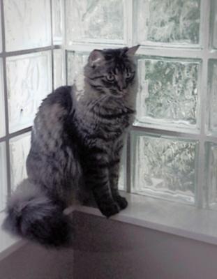 He is gorgeous and he knows it