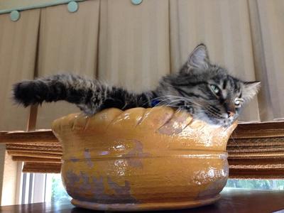 Huck enjoys life
