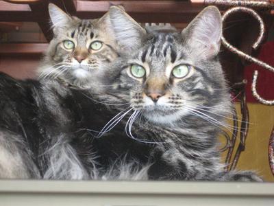 Hugo and Mylla