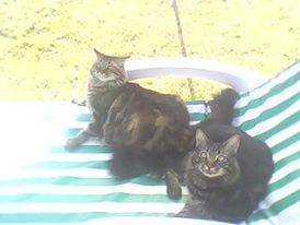Hugo and Mylla